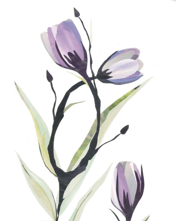 Art by Evelyn Qin, showing purple tulips growing in the shape of a stethoscope. 