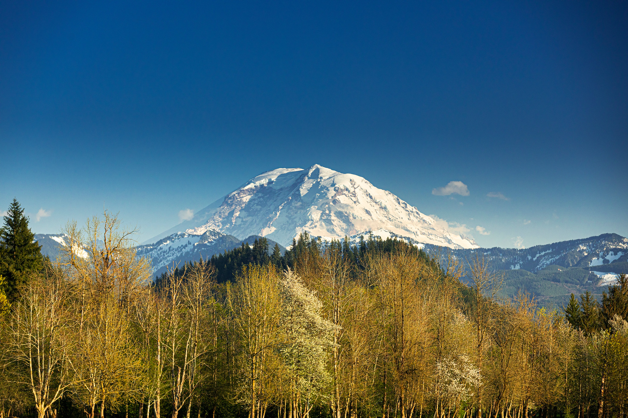 Mount Rainier